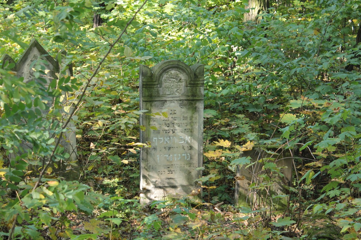 Jewish cemetery in Zawiercie - Kromołów - photo gallery